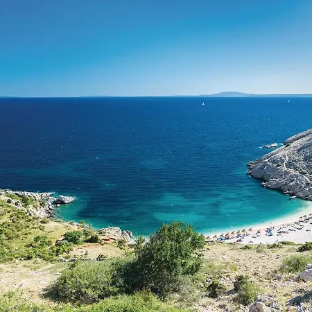 Awesome In Appartement *